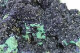 Sparkling Azurite Crystals on Fibrous Malachite - China #236687-2